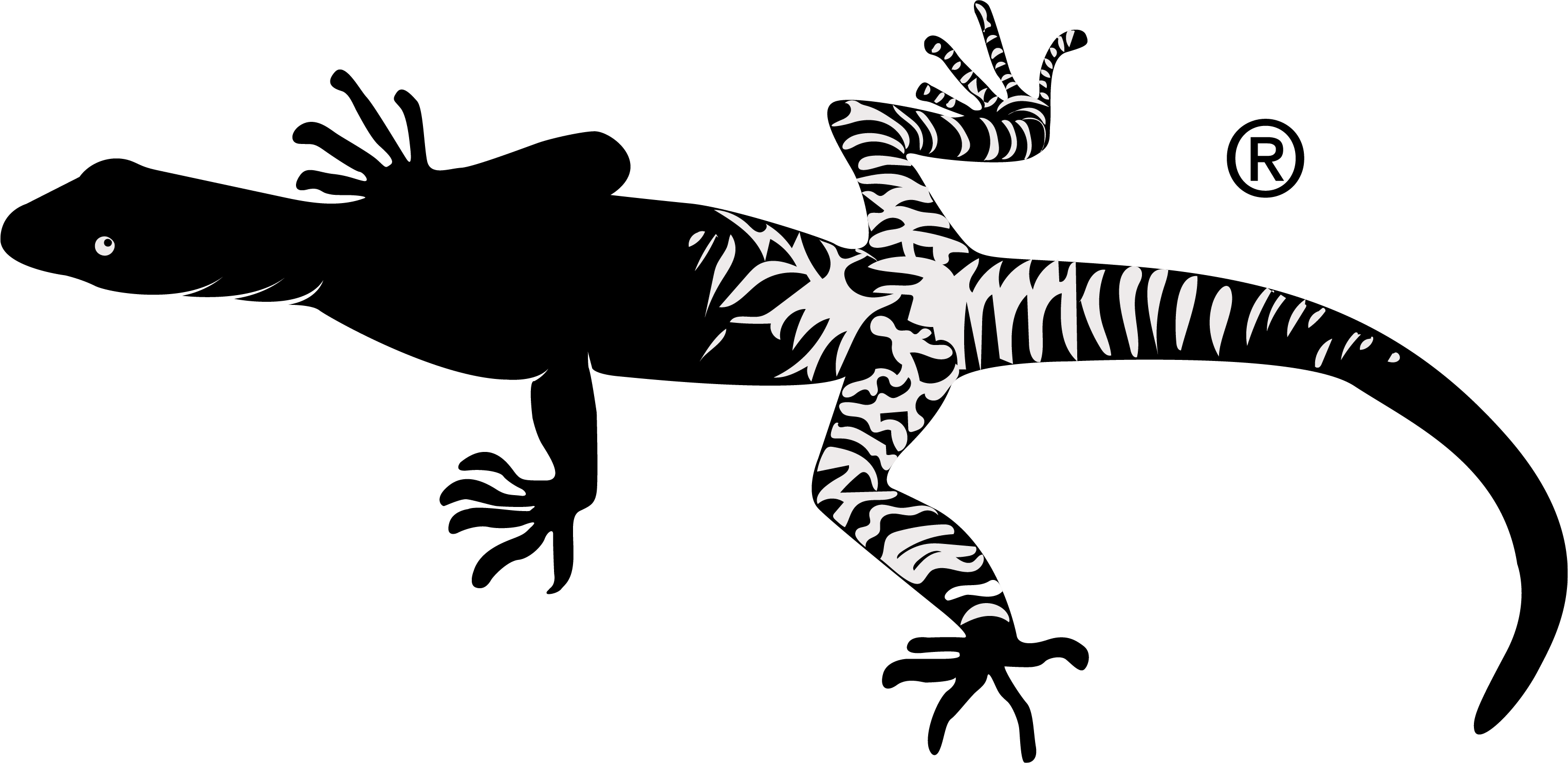 LZRD’s patterned lizard mark